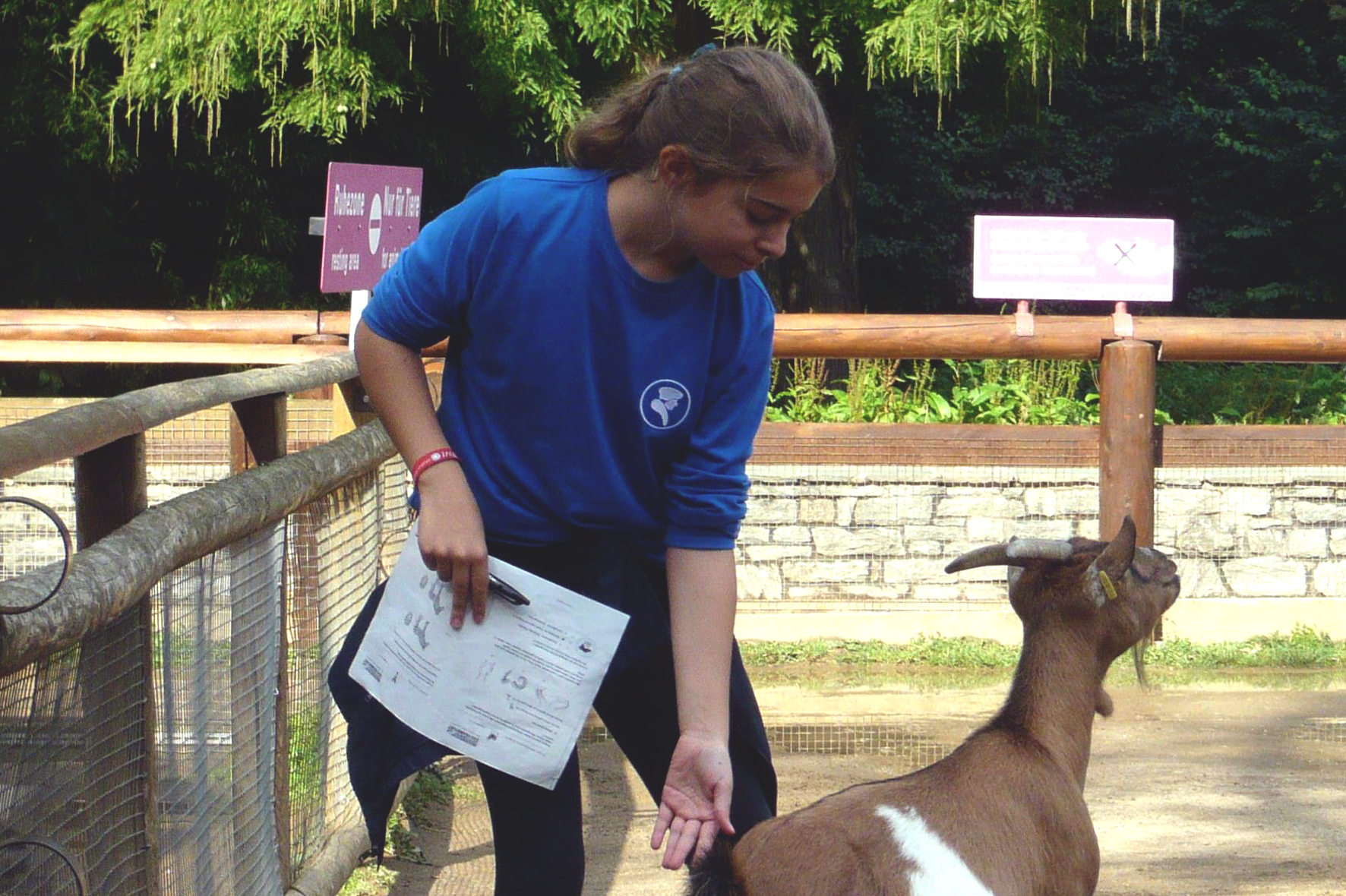 Ausflug Zoo – Erasmus Frankfurter Stadtschule – ganztags und trilingual